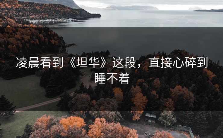凌晨看到《坦华》这段，直接心碎到睡不着