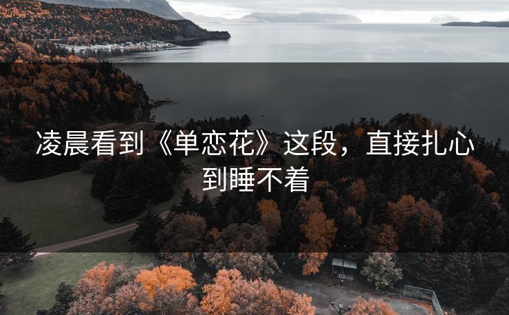 凌晨看到《单恋花》这段，直接扎心到睡不着