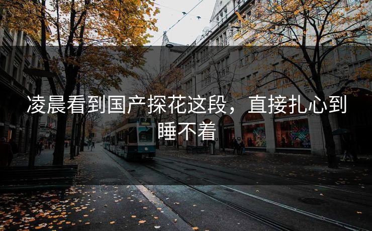 凌晨看到国产探花这段，直接扎心到睡不着