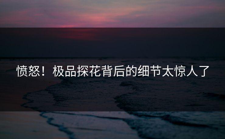 愤怒！极品探花背后的细节太惊人了