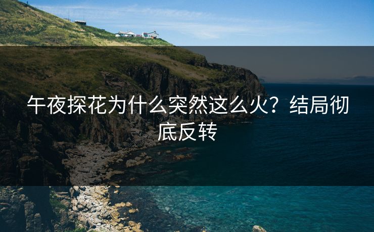 午夜探花为什么突然这么火？结局彻底反转