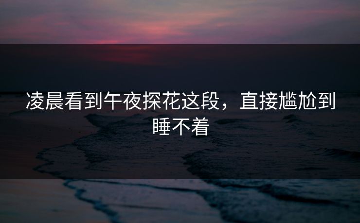 凌晨看到午夜探花这段，直接尴尬到睡不着