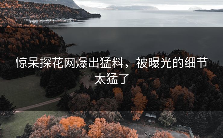 惊呆探花网爆出猛料，被曝光的细节太猛了