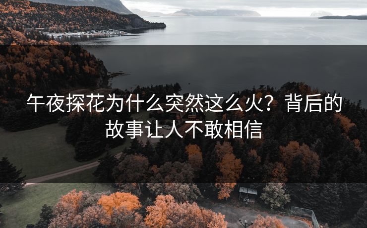 午夜探花为什么突然这么火？背后的故事让人不敢相信