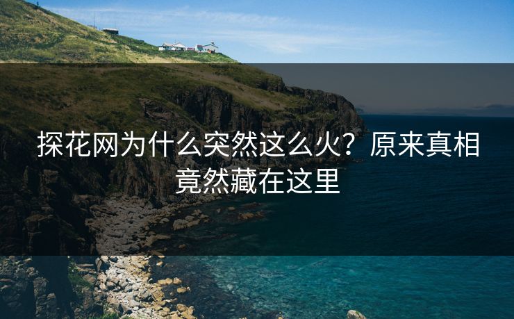 探花网为什么突然这么火？原来真相竟然藏在这里