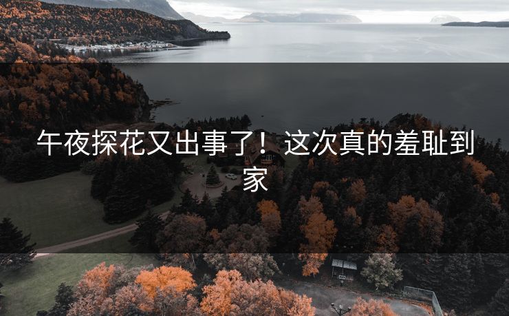 午夜探花又出事了！这次真的羞耻到家