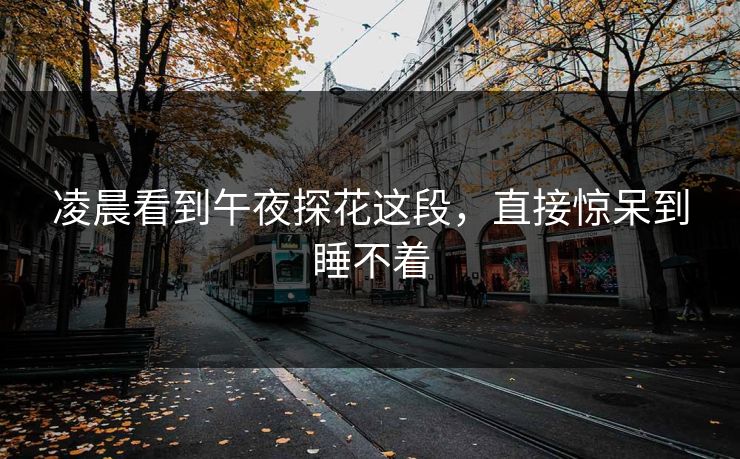凌晨看到午夜探花这段，直接惊呆到睡不着
