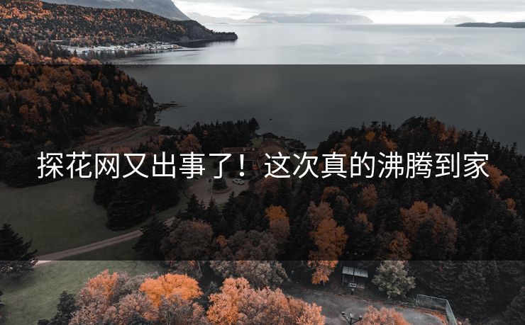 探花网又出事了！这次真的沸腾到家