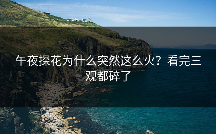 午夜探花为什么突然这么火？看完三观都碎了