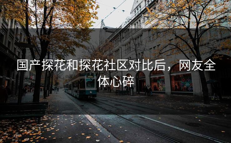 国产探花和探花社区对比后，网友全体心碎