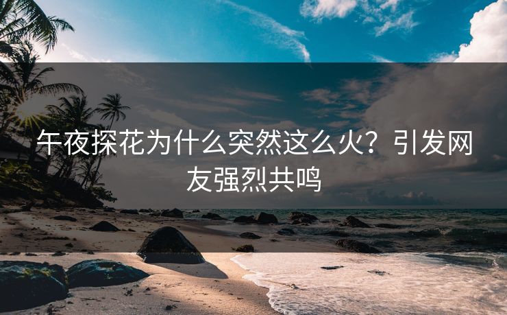 午夜探花为什么突然这么火？引发网友强烈共鸣
