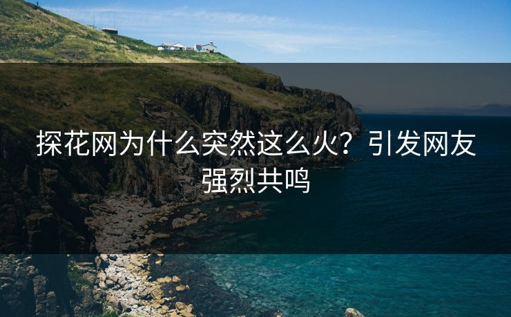 探花网为什么突然这么火？引发网友强烈共鸣