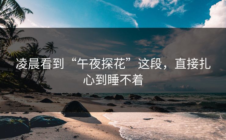 凌晨看到“午夜探花”这段，直接扎心到睡不着