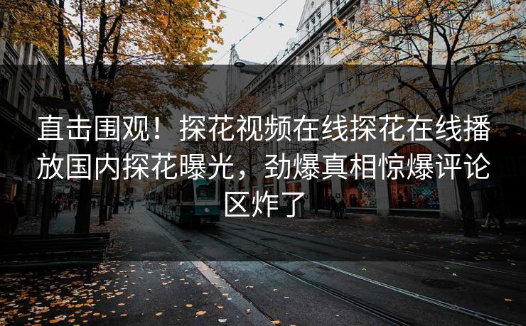 直击围观！探花视频在线探花在线播放国内探花曝光，劲爆真相惊爆评论区炸了