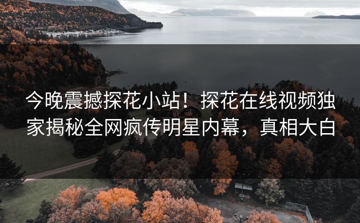 今晚震撼探花小站！探花在线视频独家揭秘全网疯传明星内幕，真相大白