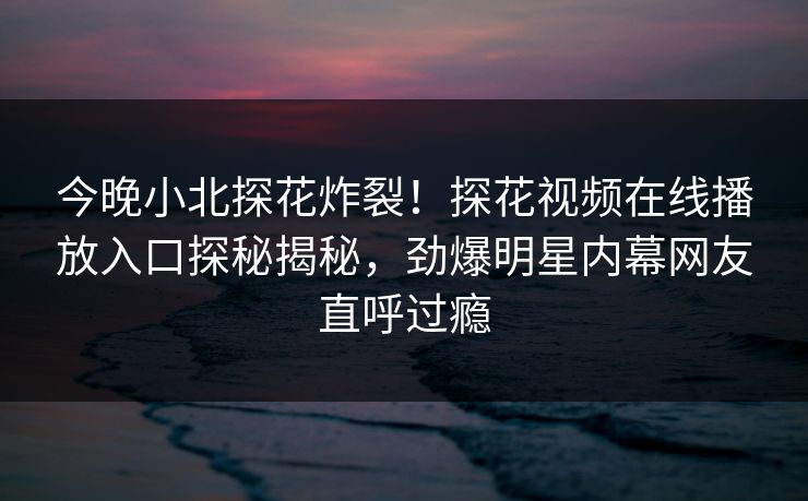 今晚小北探花炸裂！探花视频在线播放入口探秘揭秘，劲爆明星内幕网友直呼过瘾