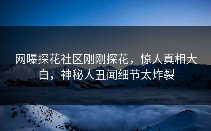 网曝探花社区刚刚探花，惊人真相大白，神秘人丑闻细节太炸裂
