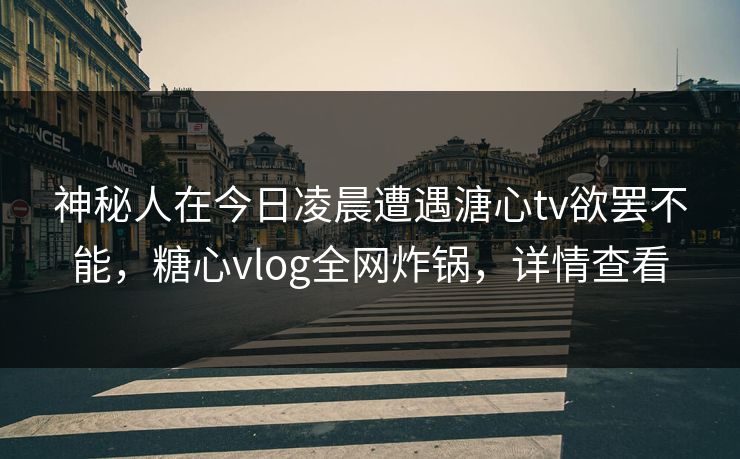 神秘人在今日凌晨遭遇溏心tv欲罢不能，糖心vlog全网炸锅，详情查看