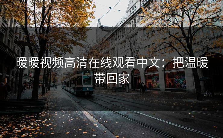 暖暖视频高清在线观看中文：把温暖带回家