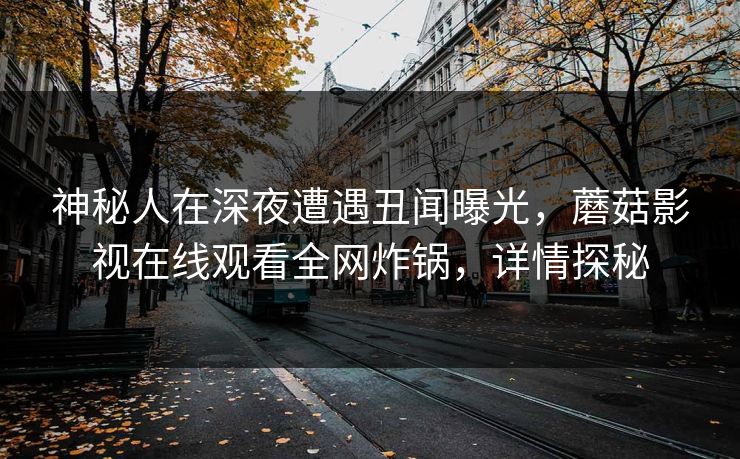 神秘人在深夜遭遇丑闻曝光，蘑菇影视在线观看全网炸锅，详情探秘