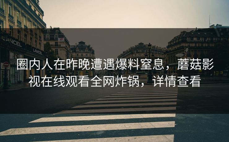 圈内人在昨晚遭遇爆料窒息，蘑菇影视在线观看全网炸锅，详情查看