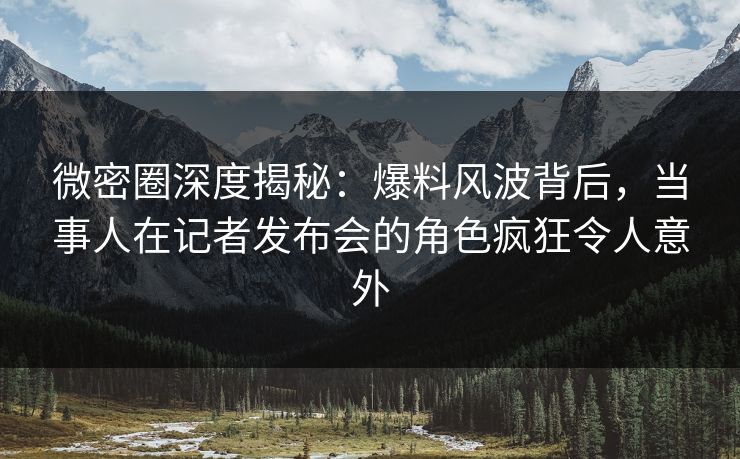 微密圈深度揭秘：爆料风波背后，当事人在记者发布会的角色疯狂令人意外